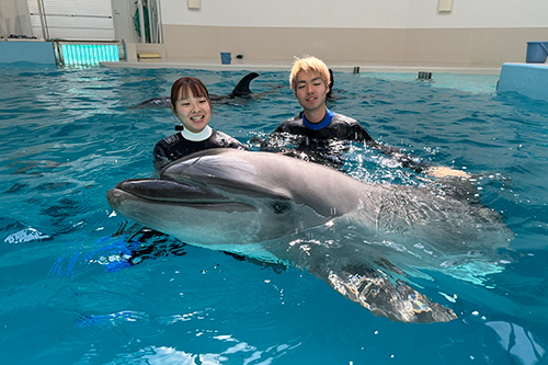 ノアドルフィンドーム